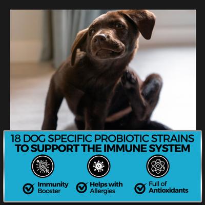 Show full view: Pet Chef All Natural Omega 3, Salmon Oil & Peanut Butter Flavored Soft Chew Allergy Support Supplement for Dogs, 10-oz jar, 140 count slide 6 of 9