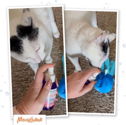 Show full view: Meowijuana Catnip & Silvervine Spray, 3-oz bottle slide 6 of 10