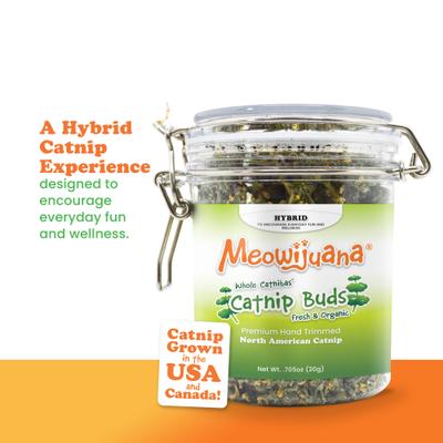 Show full view: Meowijuana Jar of Organic Catnibas Catnip Buds, 20-g jar slide 7 of 10
