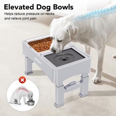 Show full view: UPSKY 3-in-1 Stainless Steel Slow Feeder Elevated Dog Bowl, White slide 8 of 10