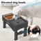 Show in main carousel: UPSKY 3-in-1 Stainless Steel Slow Feeder Elevated Dog Bowl, Black slide 9 of 11