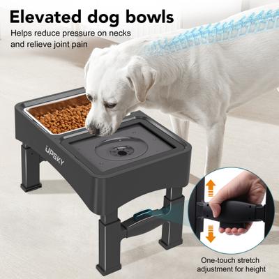 Show full view: UPSKY 3-in-1 Stainless Steel Slow Feeder Elevated Dog Bowl, Black slide 9 of 11