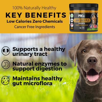 Show full view: Pet Chef Lawn Saver Vegan Bacon! Canine Urine Yard Burn Stopper Bacon Flavored Soft Chew Urinay Support Supplement for Dogs, 10-oz jar slide 5 of 9