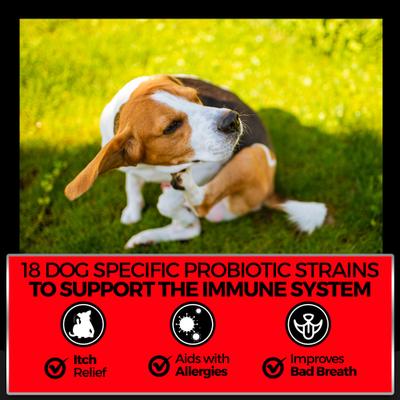 Show full view: Pet Chef All Natural Omega 3, Salmon Oil & Bacon Flavored Soft Chew Allergy Support Supplement for Dogs, 10-oz jar, 140 count slide 8 of 11