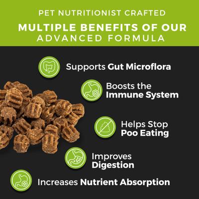 Show full view: Pet Chef No Mo Poo Natural Organic No Chemicals Peanut Butter Flavored Soft Chew Coprophagia Supplement for Dogs, 10-oz jar slide 6 of 7