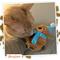 Show in main carousel: Meowijuana Christmas Knock 'N' Nibble Winter Buddy Plush Cat Toy with Catnip, Brown/Blue, Small slide 8 of 9