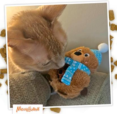 Show full view: Meowijuana Christmas Knock 'N' Nibble Winter Buddy Plush Cat Toy with Catnip, Brown/Blue, Small slide 8 of 9
