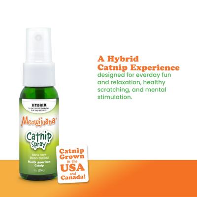 Show full view: Meowijuana Catnip Spray, 1-oz bottle slide 4 of 8