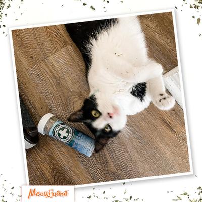 Show full view: Meowijuana Feline Frost Catnip, Silvervine, & Peppermint Blend Catnip, 26-gram bottle slide 6 of 9