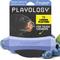 Show in main carousel: Playology Blueberry Scented Squeaky Chew Stick Dog Toy, Medium slide 1 of 6