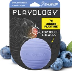 Playology Blueberry Scented Dual Layer Ball Dog Toy, Jumbo