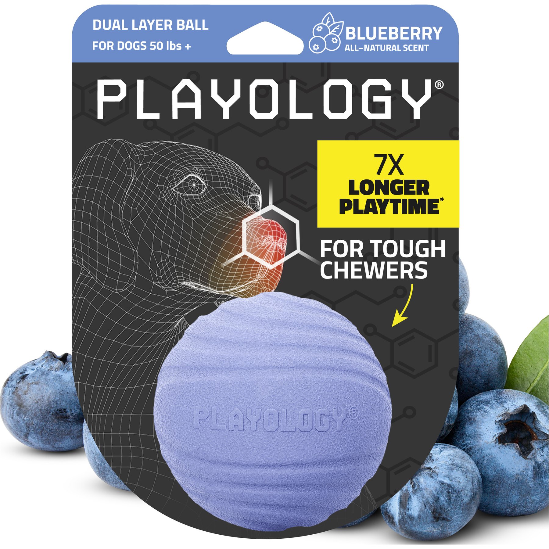 Playology Blueberry Scented Dual Layer Ball Dog Toy, Jumbo