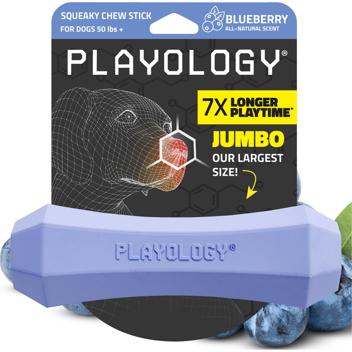 Playology Blueberry Scented Squeaky Chew Stick Dog Toy, Jumbo
