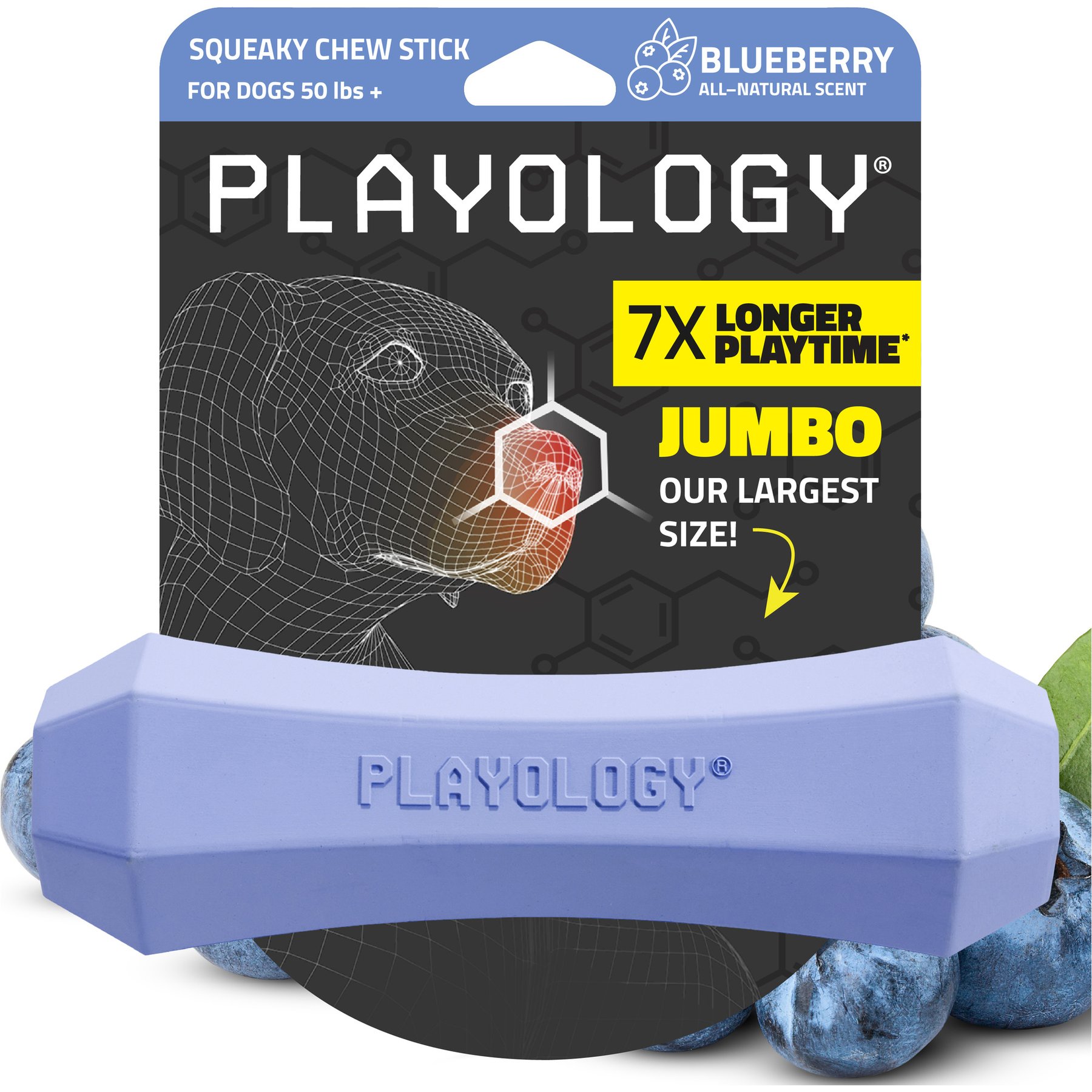 Playology Blueberry Scented Squeaky Chew Stick Dog Toy, Jumbo