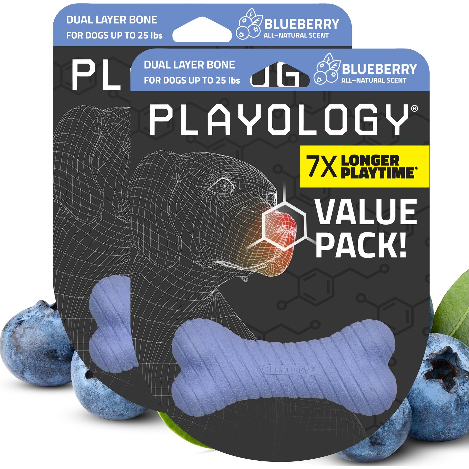 Playology Blueberry Scented Dual Layer Bone Dog Toy, Small, 2 count