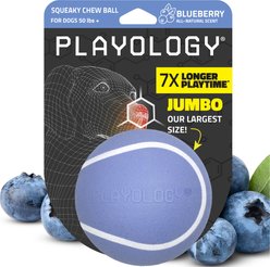 Playology Blueberry Scented Squeaky Chew Ball Dog Toy, Jumbo