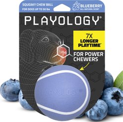 Playology Blueberry Scented Squeaky Chew Ball Dog Toy, Medium