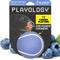 Show in main carousel: Playology Blueberry Scented Squeaky Chew Ball Dog Toy, Medium slide 1 of 6