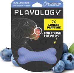 Playology Blueberry Scented Dual Layer Bone Dog Toy, Small, 1 count