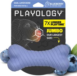 Playology Blueberry Scented Dual Layer Bone Dog Toy, Jumbo, 1 count