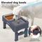 Show in main carousel: UPSKY 3-in-1 Stainless Steel Slow Feeder Elevated Dog Bowl, Blue slide 8 of 10