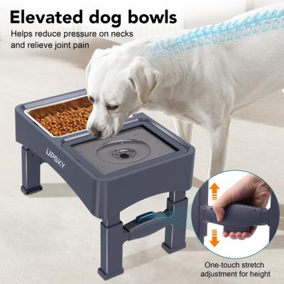 Show full view: UPSKY 3-in-1 Stainless Steel Slow Feeder Elevated Dog Bowl, Blue slide 8 of 10