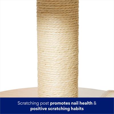 Show full view: Frisco Wicker 29-in Luxe Cat Tree with Wooden Condo slide 6 of 9