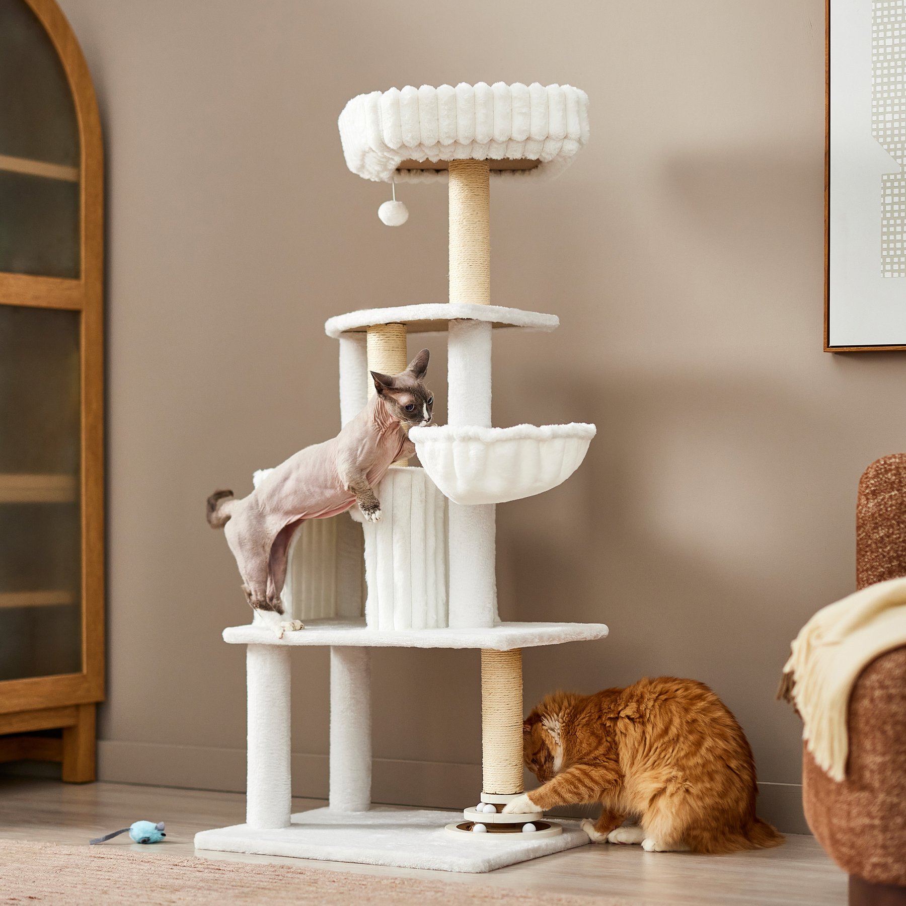 Frisco 52-in Ultra Cozy Plush Cat Tree with Ball Track