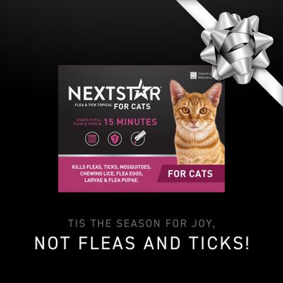 Show full view: NextStar Fast Acting Cat Flea & Tick Treatment, 6 doses slide 2 of 9