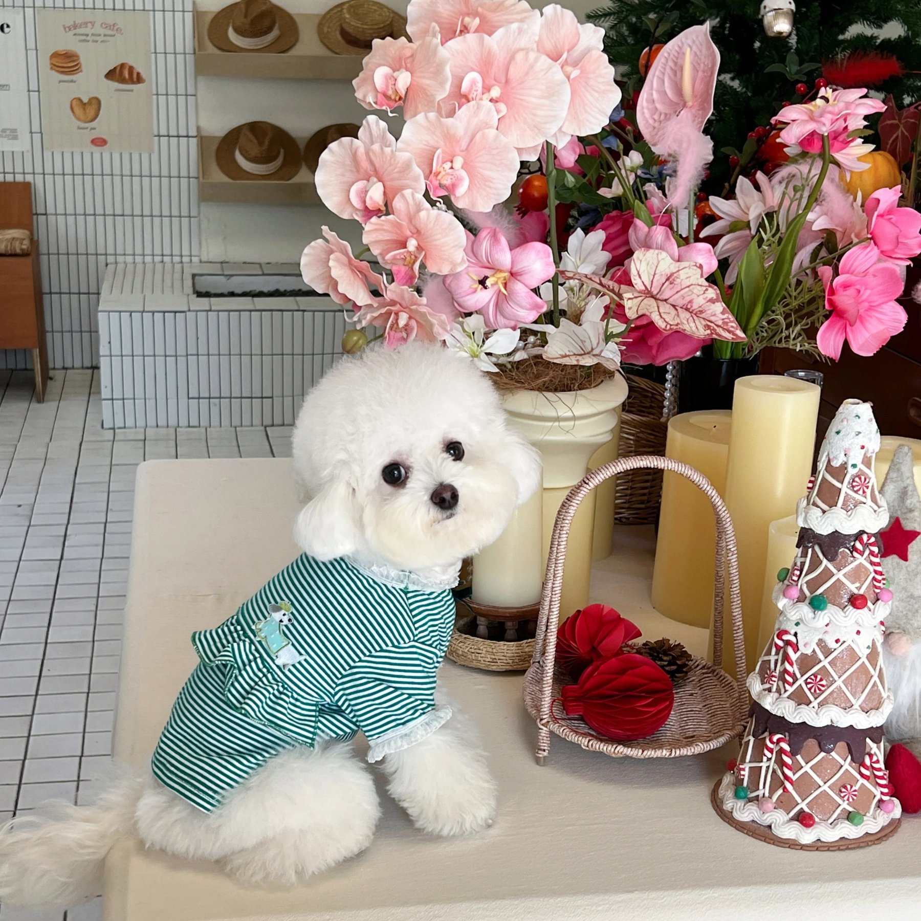 Dolly Pet Chic Bow Elegance Dog Shirt, Small