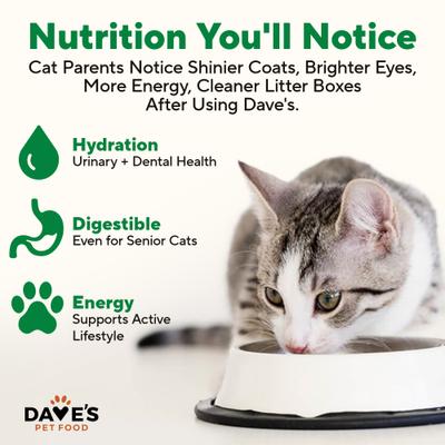 Show full view: Dave's Pet Food Naturally Healthy Chicken Dinner Formula Pate Grain-Free Canned Wet Cat Food, 22-oz can, case of 12 slide 5 of 12