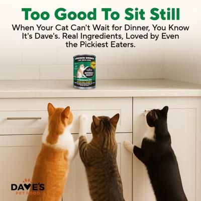 Show full view: Dave's Pet Food Naturally Healthy Chicken Dinner Formula Pate Grain-Free Canned Wet Cat Food, 22-oz can, case of 12 slide 6 of 12