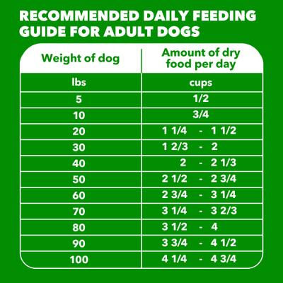 Show full view: Iams Proactive Health Minichunks Adult Beef & Rice Recipe Dry Dog Food, 15-lb bag slide 8 of 11