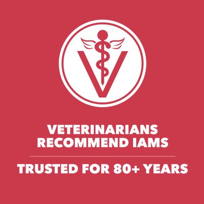 Show full view: Iams Proactive Health Minichunks Adult Lamb & Rice Dry Dog Food, 30-lb bag slide 10 of 11