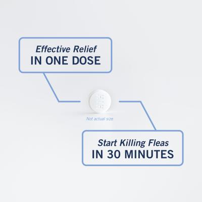 Show full view: PetArmor CapAction Flea Tablets for Cats, 6 Tablets slide 5 of 10