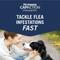 Show in main carousel: PetArmor CapAction Oral Flea Treatment for Dogs 2-25lbs 6 doses slide 3 of 9