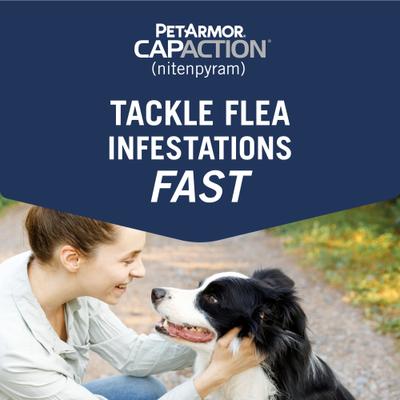 Show full view: PetArmor CapAction Oral Flea Treatment for Dogs 2-25lbs 6 doses slide 3 of 9