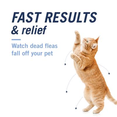 Show full view: PetArmor CapAction Flea Tablets for Cats, 6 Tablets slide 3 of 10