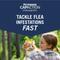Show in main carousel: PetArmor CapAction Flea Tablets for Cats, 6 Tablets slide 2 of 10