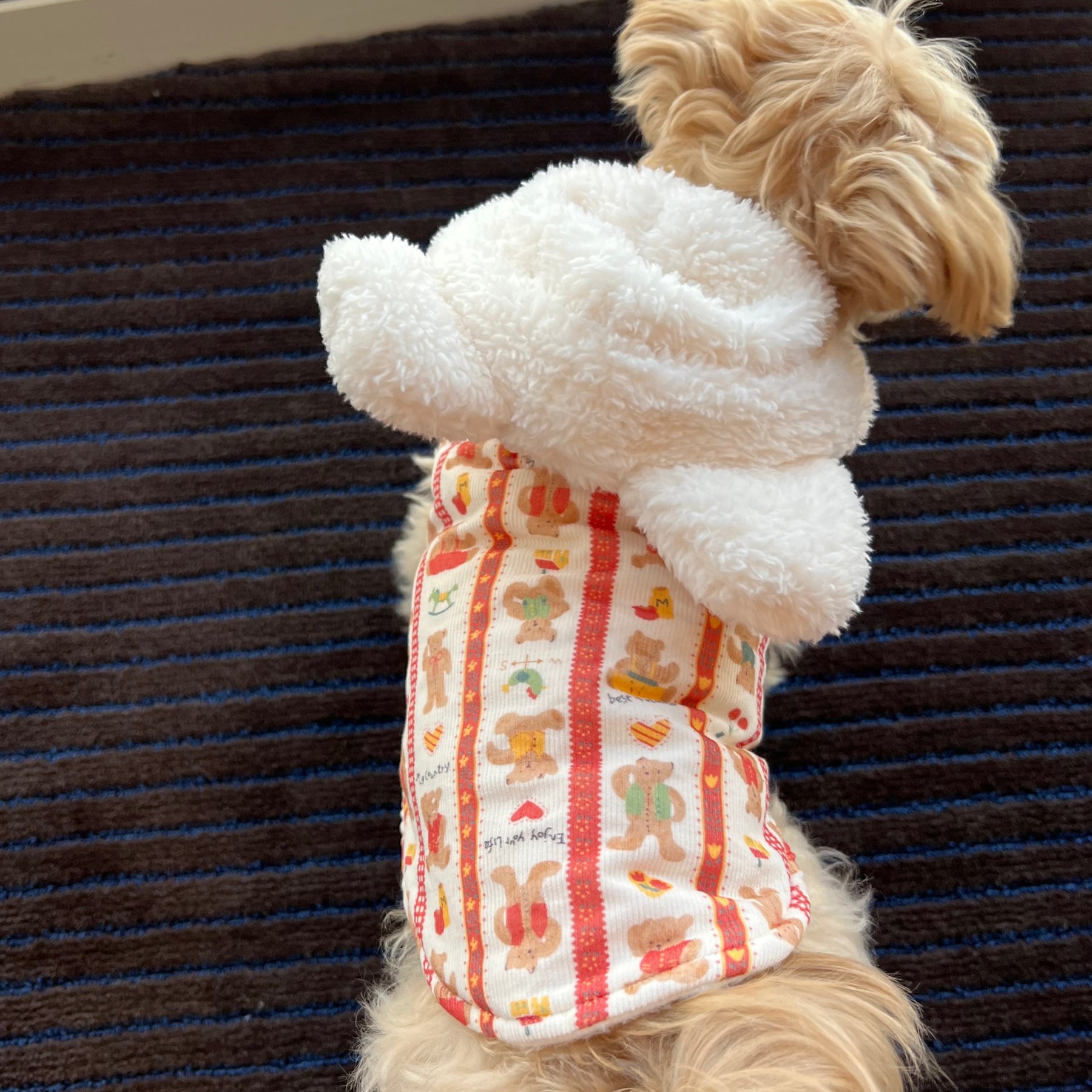 Dolly Pet Valentine's Day Festive Bear Heart Dog Coat, Large