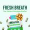 Show in main carousel: Minties FreshBites Soft & Chewy Dog Dental Treats, 100 count slide 3 of 12