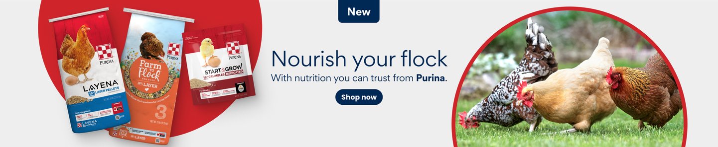 Nourish your flock with nutrition you can trust from Purina. Shop now.