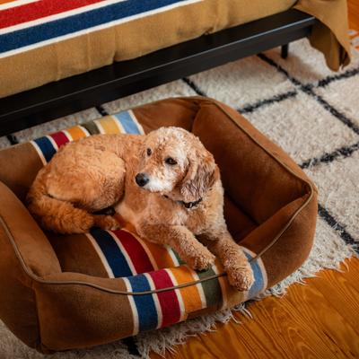Show full view: Pendleton National Park Joshua Tree Kuddler Dog Bed, Large slide 7 of 8