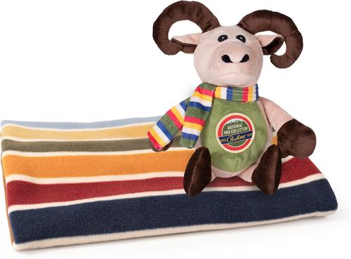 Show full view: Pendleton National Park Dog Crate Blanket + Pal Combo, Joshua Tree slide 3 of 4