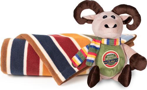 Show full view: Pendleton National Park Dog Crate Blanket + Pal Combo, Joshua Tree slide 2 of 4