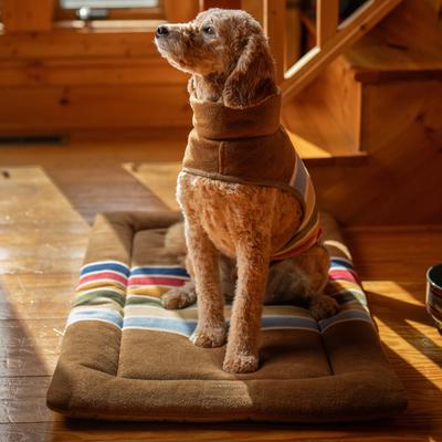 Show full view: Pendleton National Park Comfort Cushion Pillow Dog Bed, Joshua Tree, Large slide 6 of 10