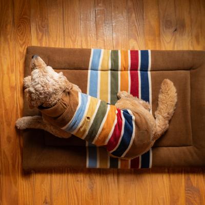 Show full view: Pendleton National Park Comfort Cushion Pillow Dog Bed, Joshua Tree, Small slide 6 of 10