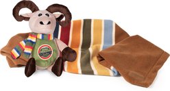 Pendleton National Park Dog Crate Blanket + Pal Combo, Joshua Tree slide 1 of 4
