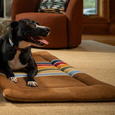 Show full view: Pendleton National Park Comfort Cushion Pillow Dog Bed, Joshua Tree, X-Large slide 6 of 10