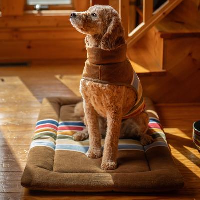 Show full view: Pendleton National Park Comfort Cushion Pillow Dog Bed, Joshua Tree, Medium slide 6 of 10